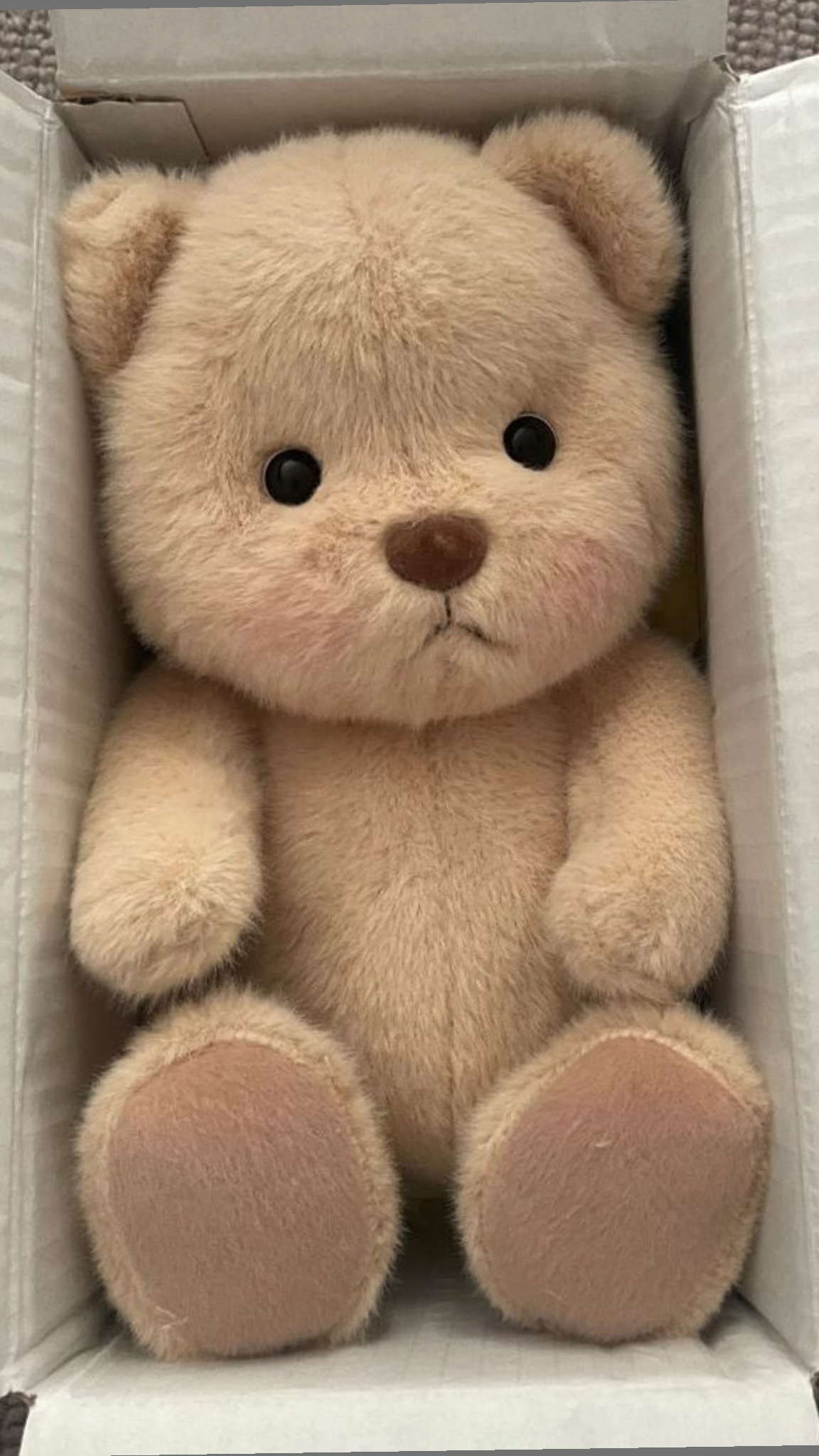 Custom Plush - Unnamed